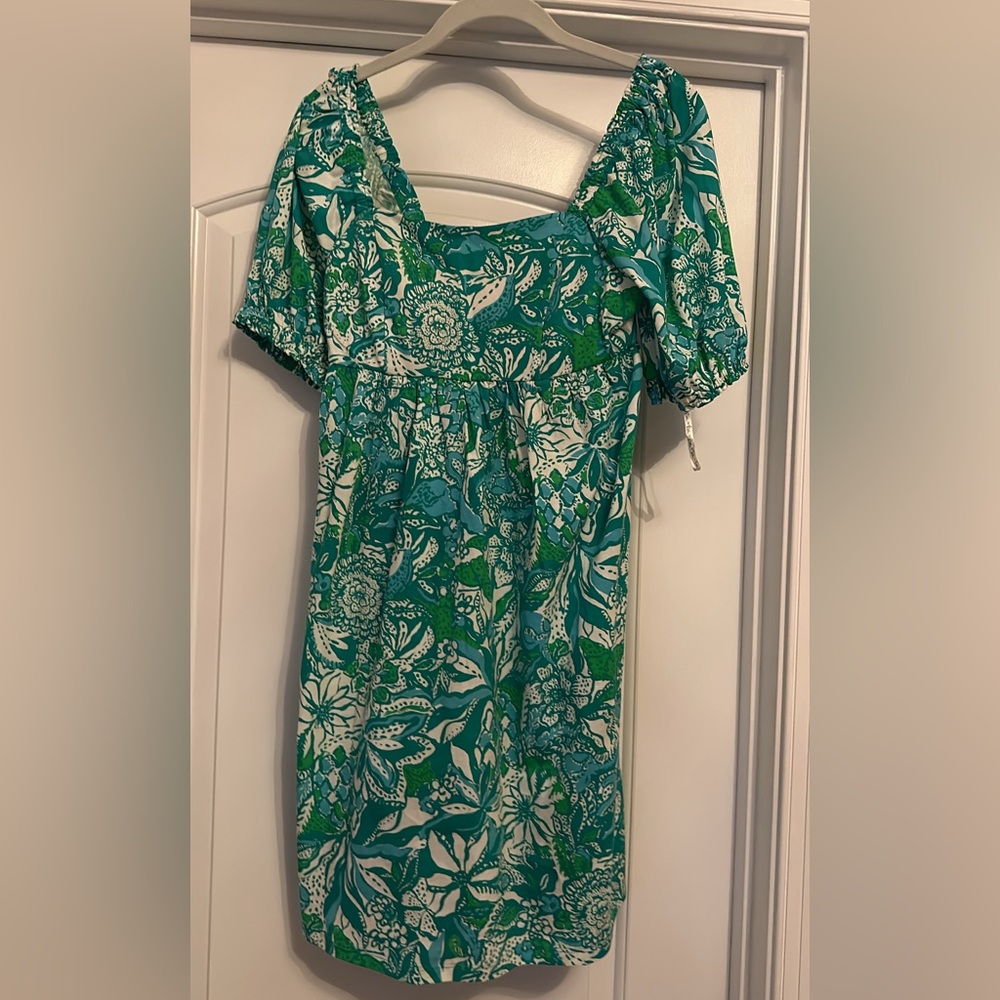 Lilly Pulitzer Delaney Babydoll dress in botanical green safari sangria, size 4